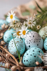 Naklejka na ściany i meble Abundant Blue and White Eggs Found in a Nest