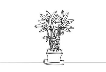 Bamboo. Indoor flower. One line