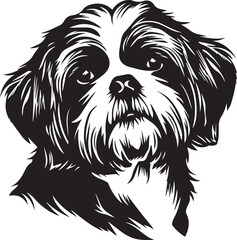 black and white shih tzu puppy