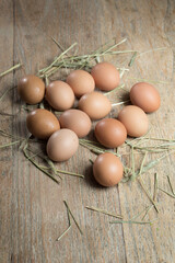 Farm fresh eggs.