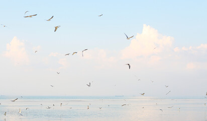 Morning sea view with sea gull white clouds and blue sky