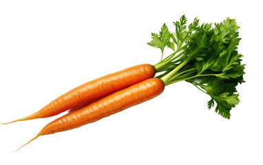 Sweet Carrot on Transparent Background