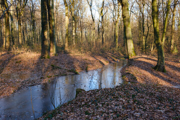 Graben mit Wasser im Wald, Kurler Busch, Dortmund, Ruhrgebiet, Nordrhein-Westfalen, Deutschland,...