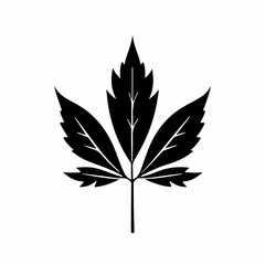 leaf silhouette vector