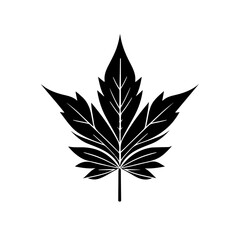 leaf silhouette vector