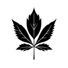 leaf silhouette vector