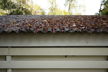roof of the house