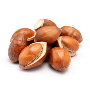 Mongongo Nuts isolated on white background