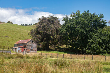 Barn in the country side. Thames, Coromandel Peninsula, New Zealand. © Zenstratus