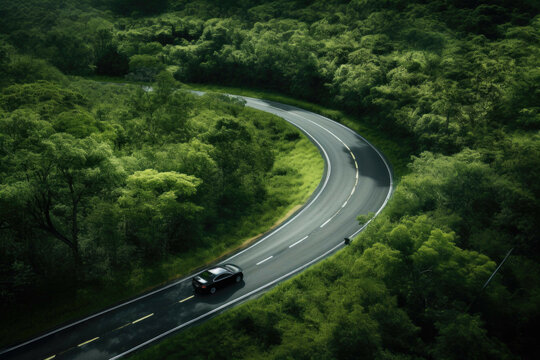 a highway winding through a dense nut tree forest © Michael Böhm