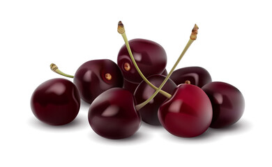 Ripe cherries on a white background. Vector illustration. Sketch for creativity.