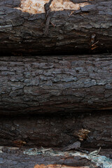 madera horizontal