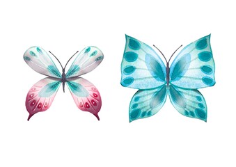 Set of two abstract butterflies with beautiful wings.Watercolor illustration for designers, typography, books, cards, for print.