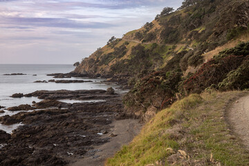 Fototapeta na wymiar Rocky coastline of Port Jackson, Coromandel Peninsula, New Zealand.