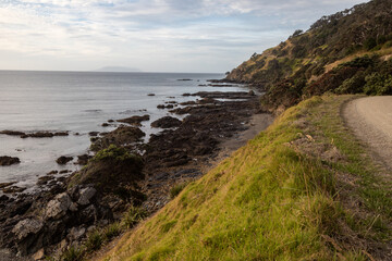 Rocky coastline of Port Jackson, Coromandel Peninsula, New Zealand.