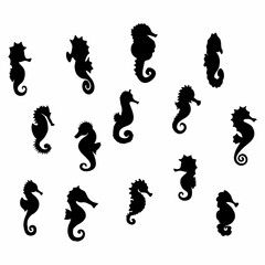 black seahorse silhouette in the sea © Kuldi