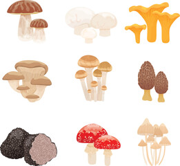 one set of mushroom icon illustrations