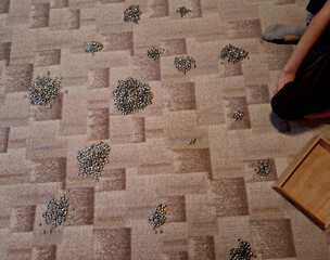 playing treasure with silver beads. children imagine that they have treasures and make piles of...