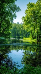 Fototapeta na wymiar Serene forest lake. A peaceful retreat where lush greenery meets the tranquil waters.