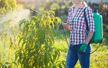 woman in the garden sprays trees against diseases and pests