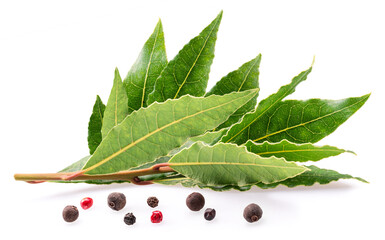 Fresh bay leaves with peppercorns isolated on white background.