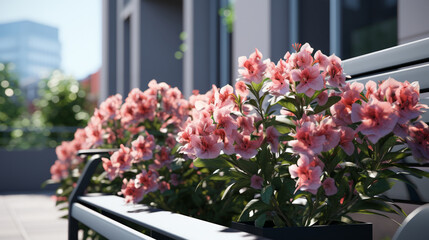 Fototapeta na wymiar Bright pink azaleas bloom on modern city balcony, sunny summer day.