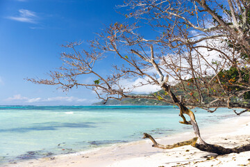 Anse Royale beach view on a sunny day, Seychelles. Coastal landscape