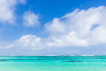 Fototapeta na wymiar Anse Royale beach, Seychelles. Coastal view with ocean water under blue sky