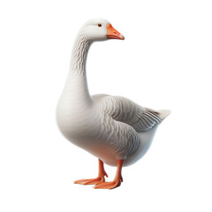 goose isolated on transparent or white background, PNG