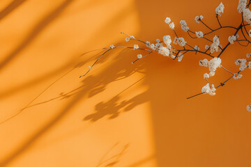 Minimal Elegance: Abstract White flowers with Delicate Leaf Shadows on orange wall, Exuding Premium Serenity. Korean style. Print, card, wallpaper.