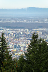 aerial view of winter city freiburg