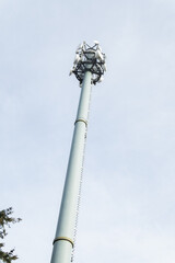 the antenna of mobile communications in the forest