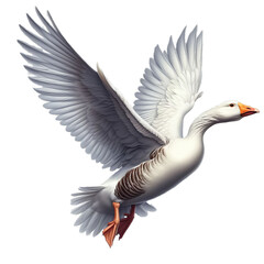 Flying White Goose isolated on transparent or white background, PNG