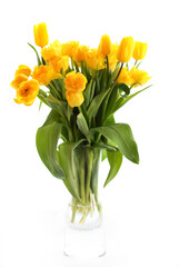 Glass vase with yellow tulips
