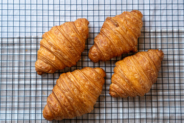 Freshly baked golden French croissants on baking sheet. Fresh classic pastries. 