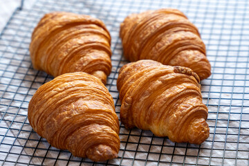 Freshly baked golden French croissants on baking sheet. Fresh classic pastries. 