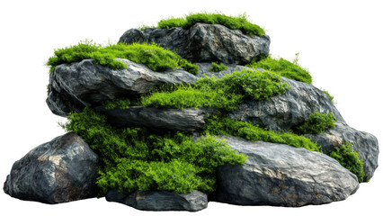 Moss and grass covered rock isolated on a white background