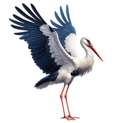 white stork isolated on transparent or white background, PNG