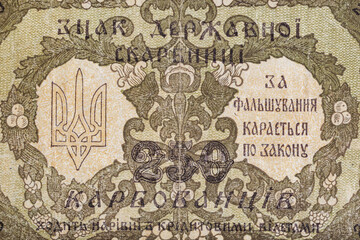 Fototapeta premium Vintage elements of old paper banknotes.Bonistics.Ukraine 250 hryvnia 1918.Fragment banknote for design purpose.