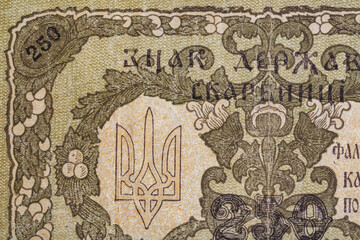 Fototapeta na wymiar Vintage elements of old paper banknotes.Bonistics.Ukraine 250 hryvnia 1918.Fragment banknote for design purpose.