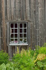 Window on an old wooden building.