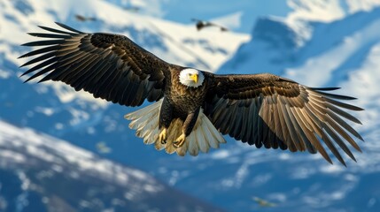 American bald eagles spread their wings wide to fly high.