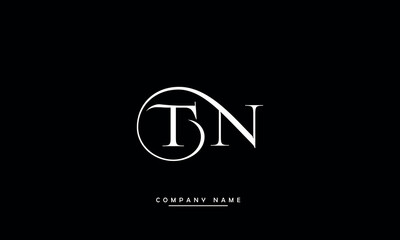 NT, TN, N, T Abstract Letters Logo Monogram