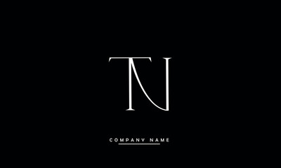 NT, TN, N, T Abstract Letters Logo Monogram