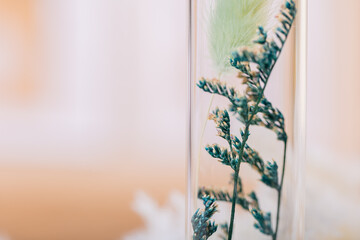 Vibrant green flowers captured in a glass jar, nestled among eclectic bohemian decor.