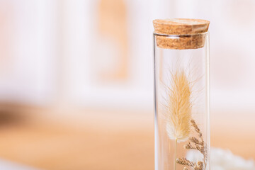 Blooming flowers captured up close inside a glass jar amidst boho decorations