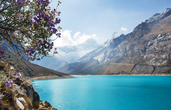 Lake Paron