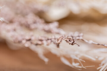 Dried bohemian flowers and stems arranged on a rustic brown table, evoking a sense of natural charm and relaxed elegance
