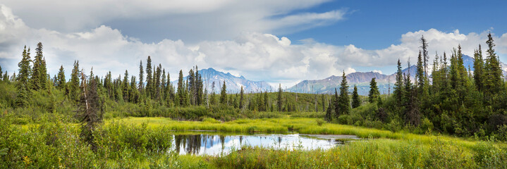 Fototapeta premium Mountains on Alaska