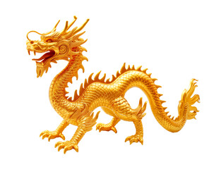 Fototapeta na wymiar gold Chinese dragon 3d on white background.